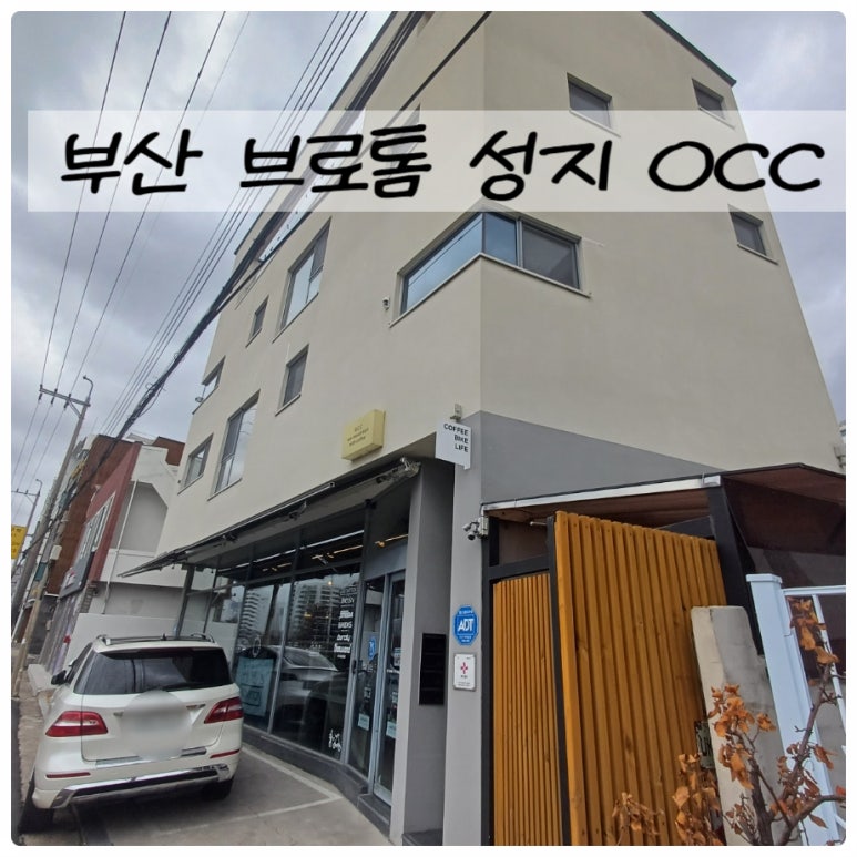 톰버디 이미지
