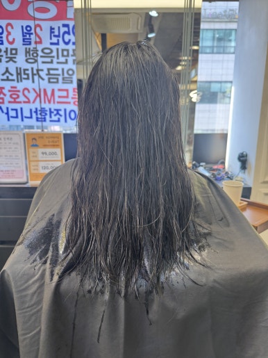 살롱;지연 이미지