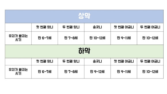 오늘의치과 이미지