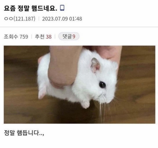 딱스 이미지
