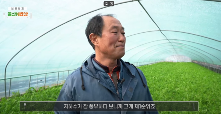 돈참새미 이미지