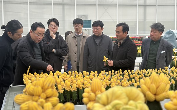 일본트렌드연구소 이미지
