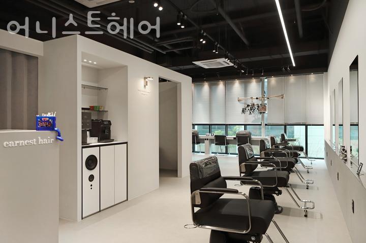 어니스트헤어 이미지
