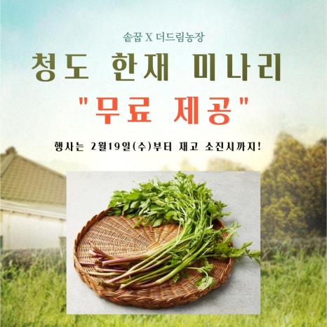 솥꿉 이미지