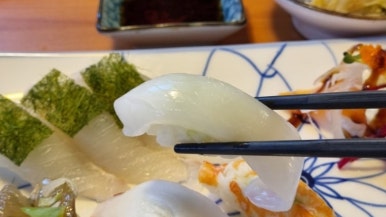 오스시 이미지