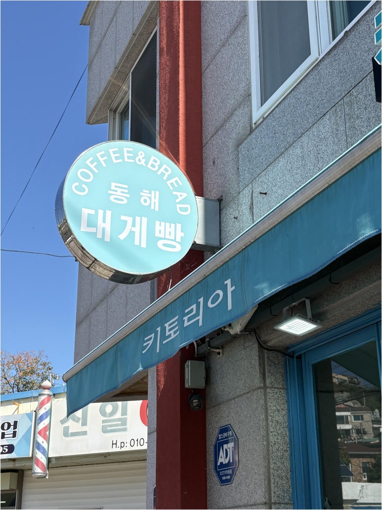 키토리아 이미지