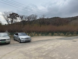 장안새벽집 이미지