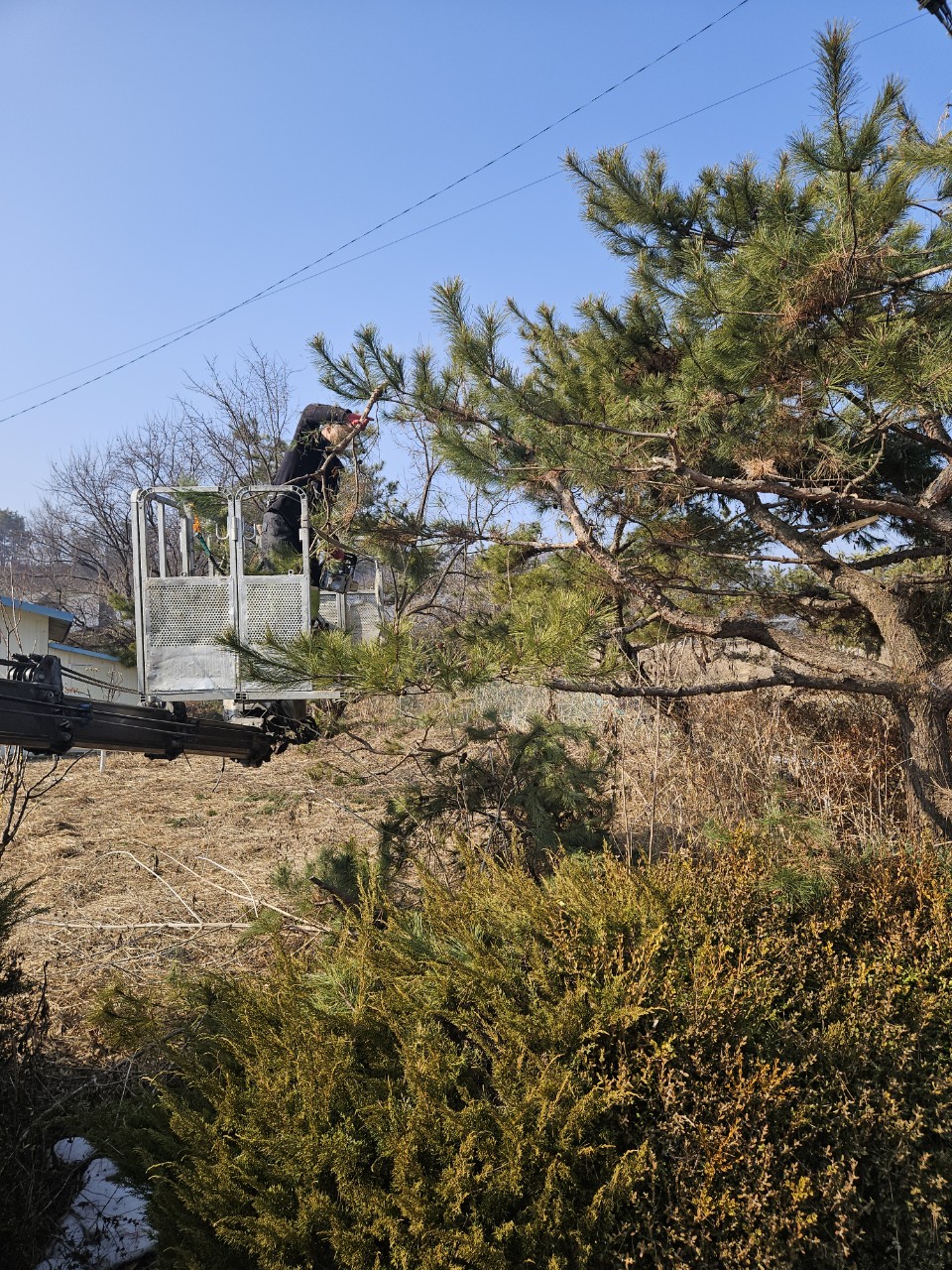 한국소나무집 이미지