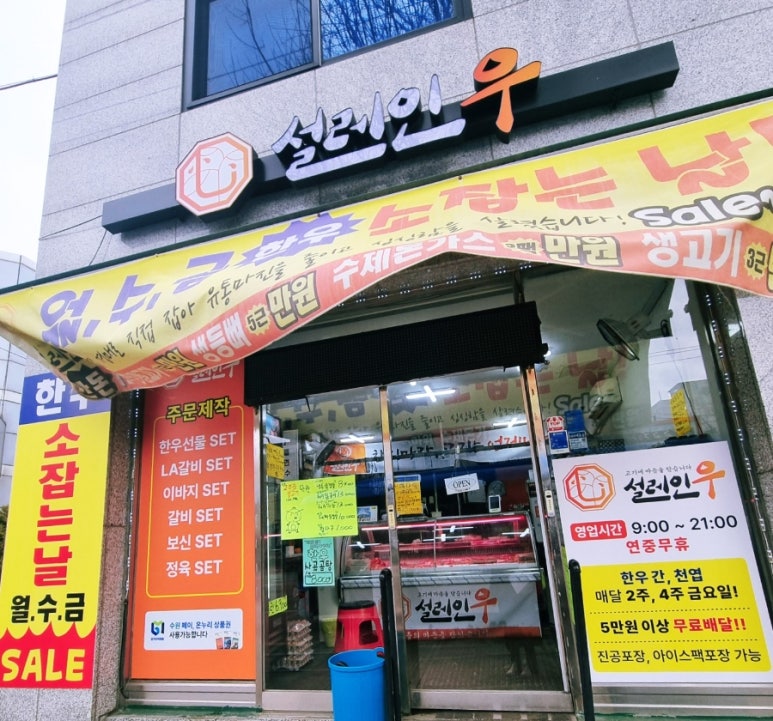 설레인우 고색점 이미지