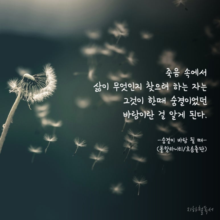 바람의숨결 이미지