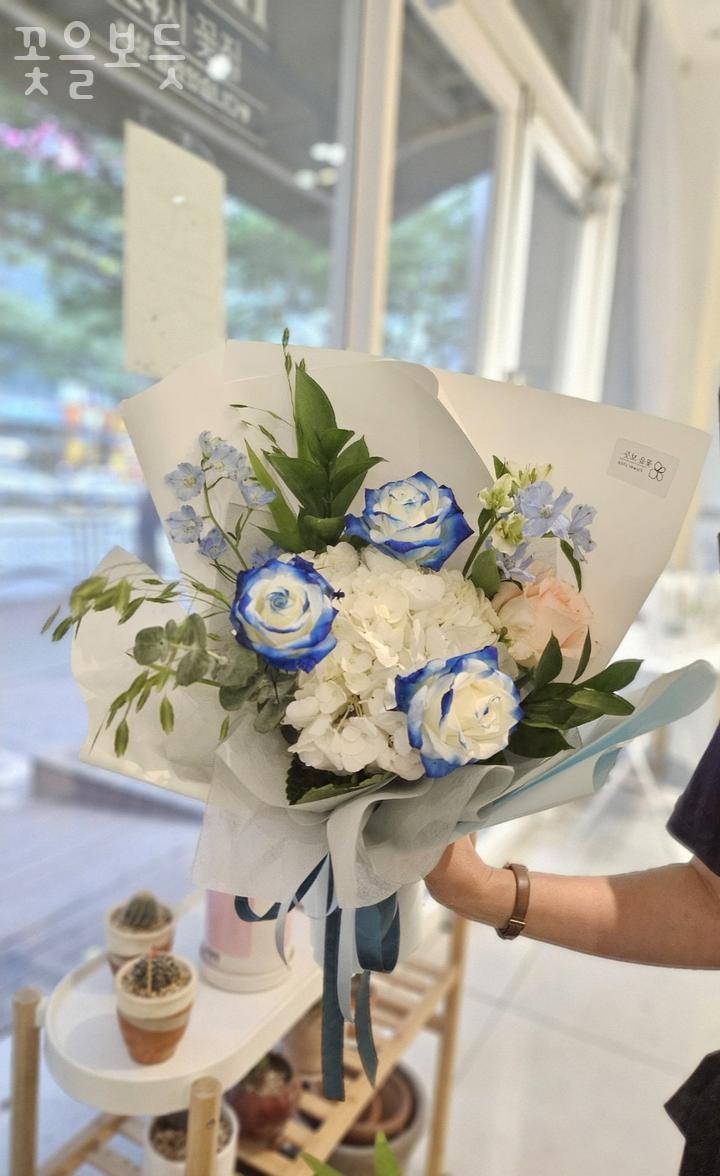꽃을보듯인천 이미지