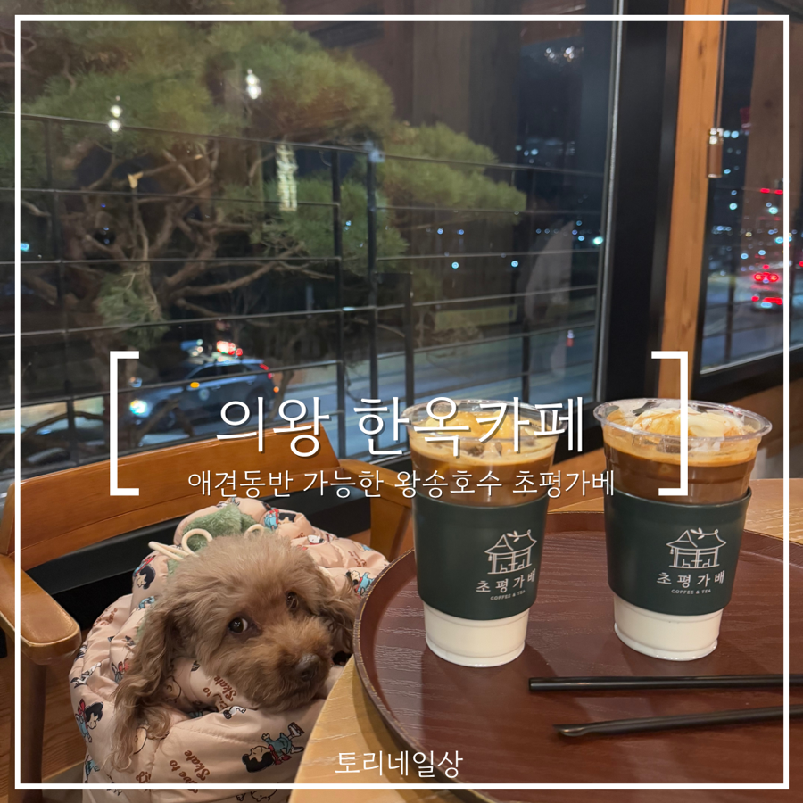 초평가배 이미지