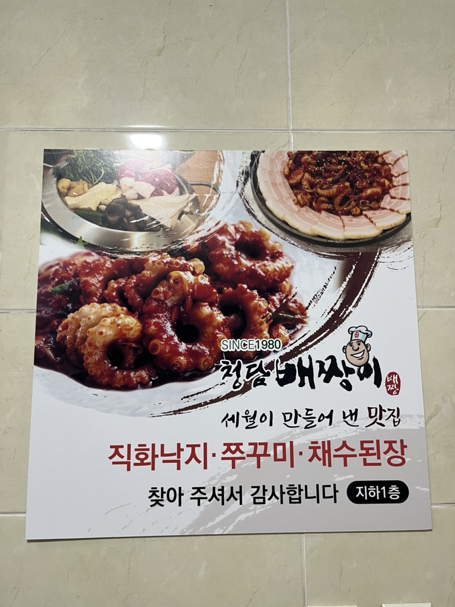 청담배짱이 이미지