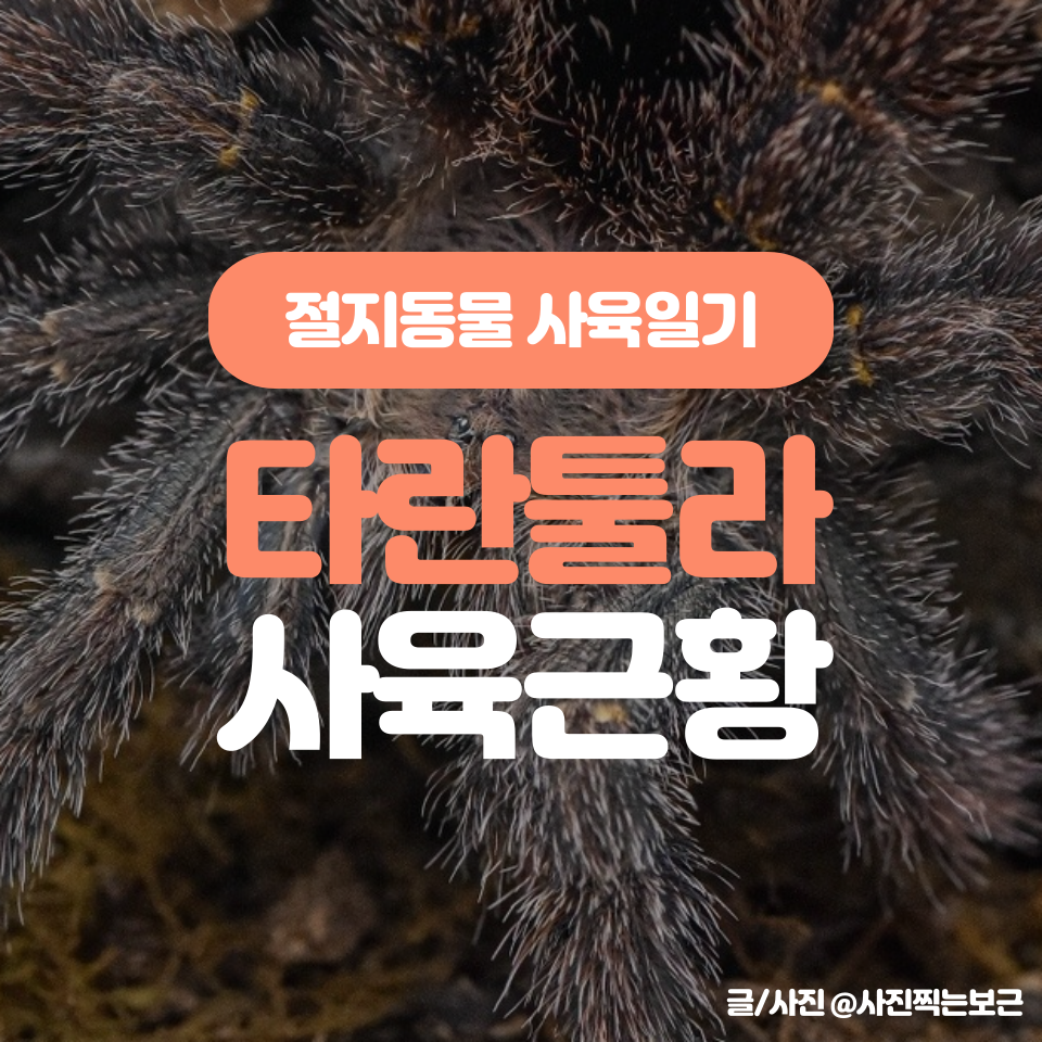 (주)정성달임 이미지