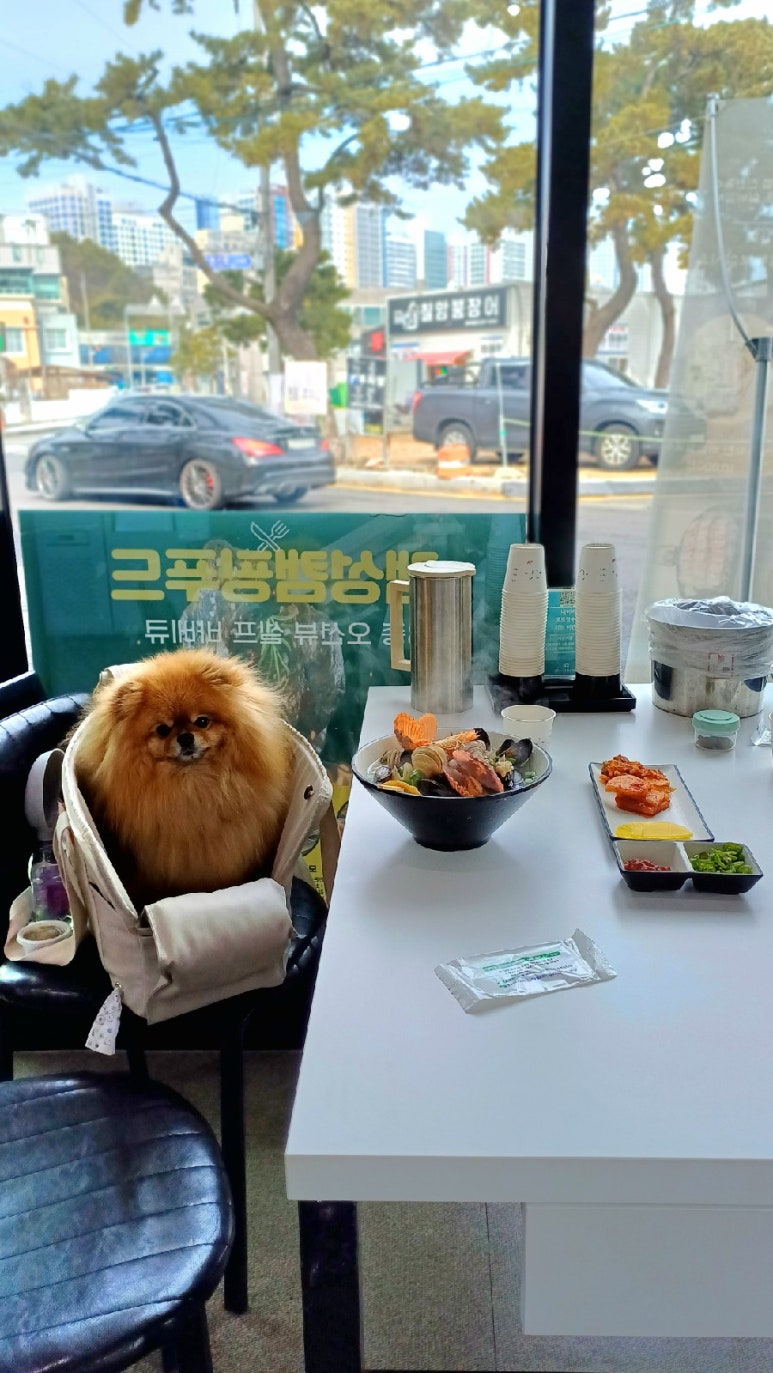 기장기칼 이미지