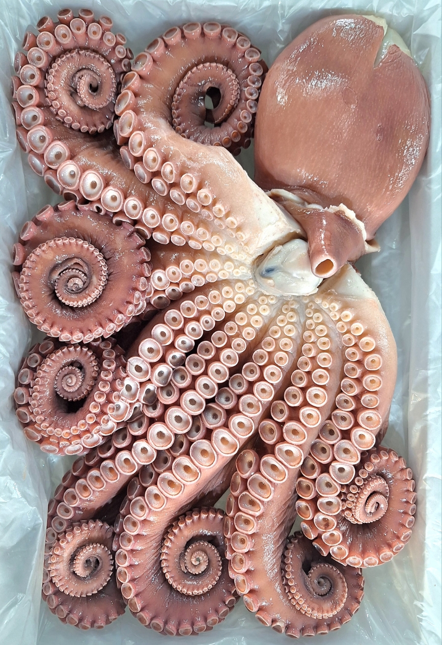 오예수산 이미지