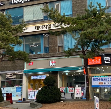 데이지엘헤어 과천점 이미지