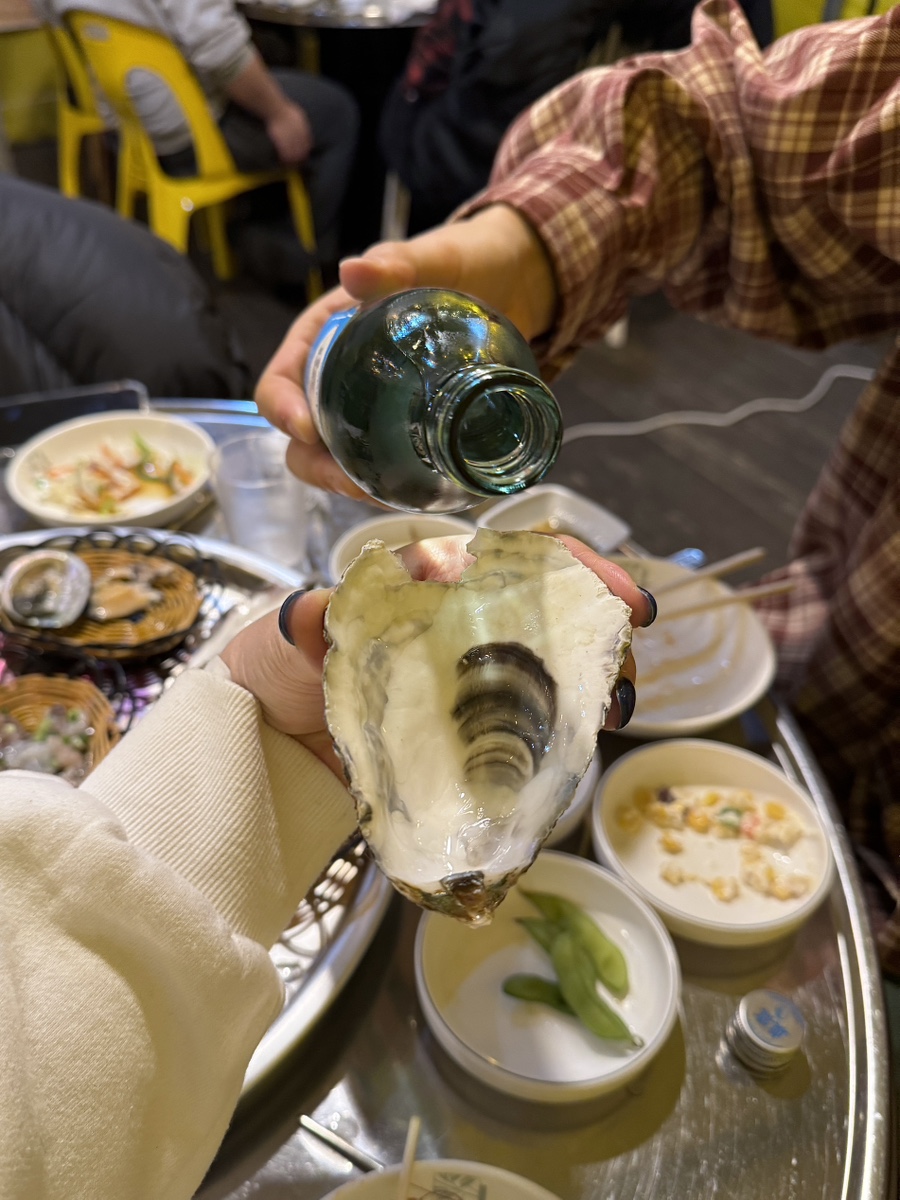 조개매니아 이미지