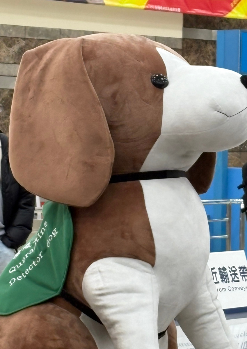 럭키크린 이미지