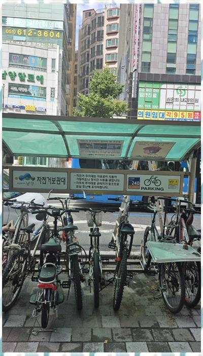 그린엔젤 이미지
