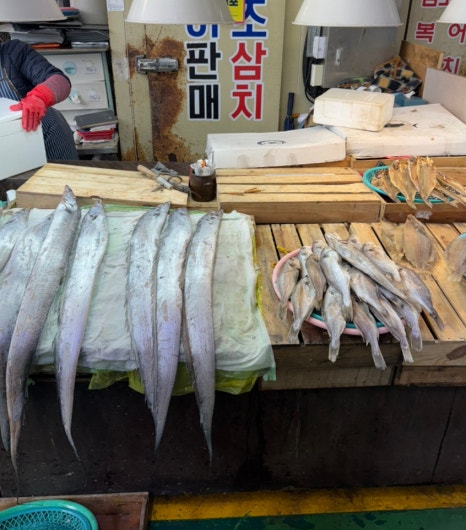 진영상회 이미지