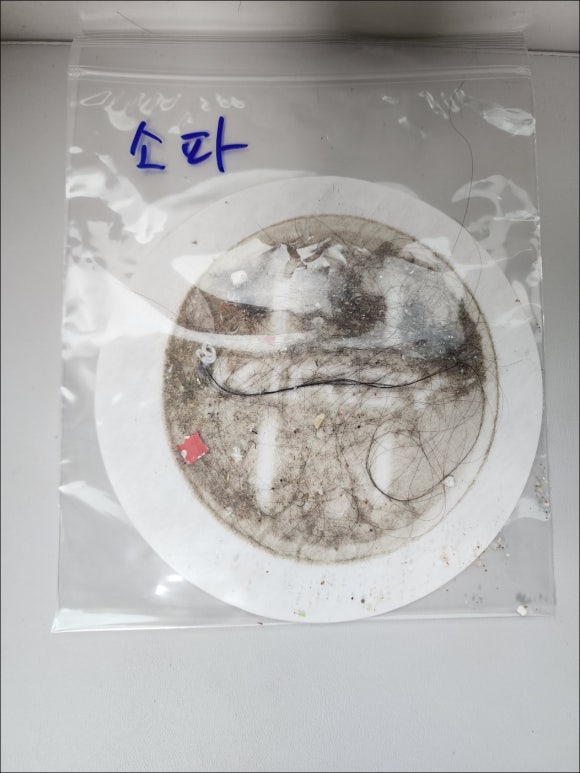 분당남부 건강생활 이미지