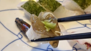 오스시 이미지