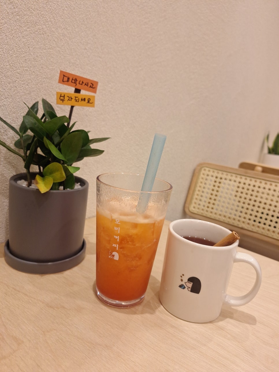 모리커피경주 이미지
