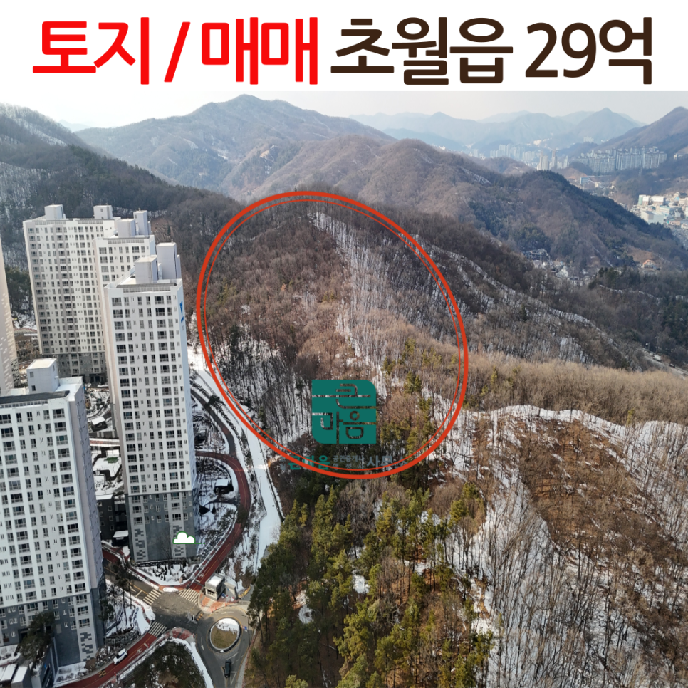 초월행정사사무소 이미지