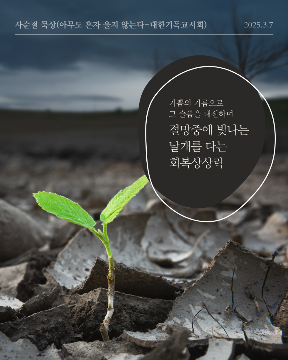 (재)대한기독교서회 이미지
