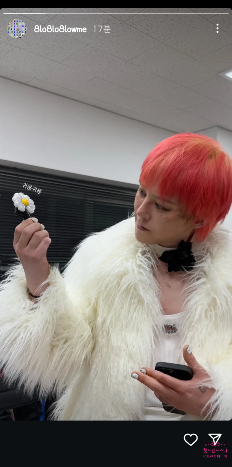 오프더데이지 이미지