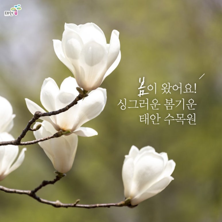 청산파크 이미지