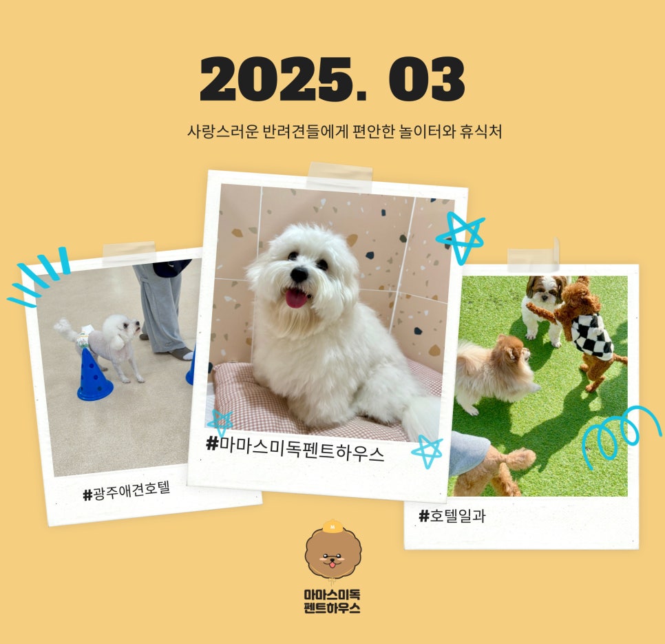 마마스스토리 이미지