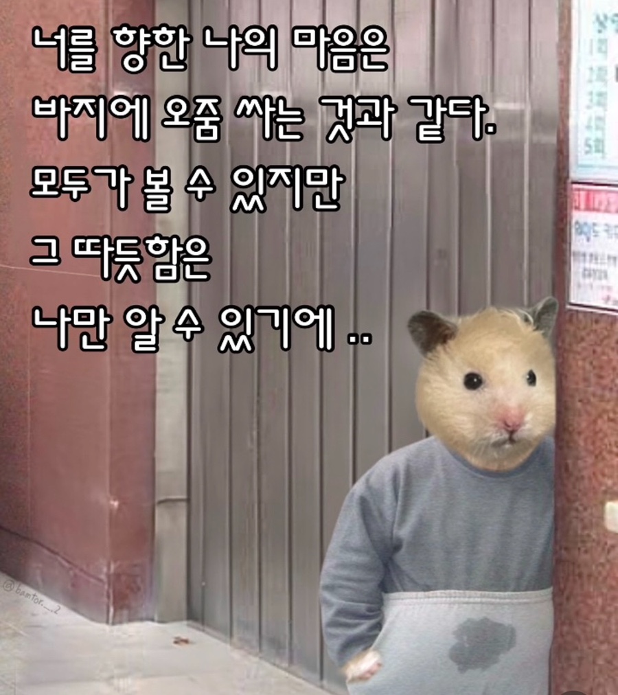 커피플라이 이미지