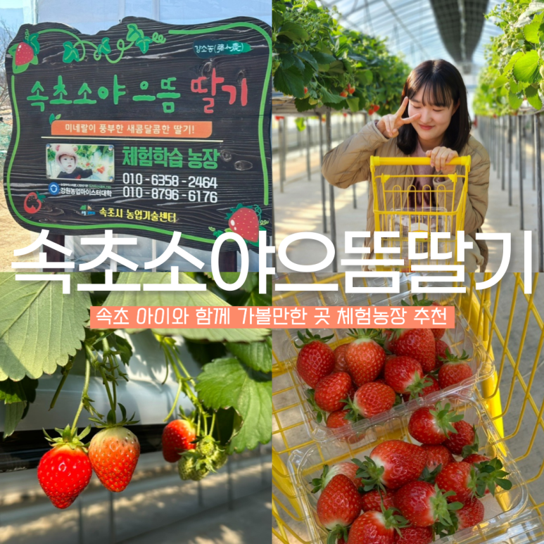 소야농장 이미지