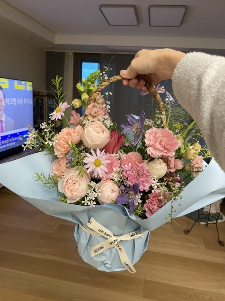 파니쿰 이미지