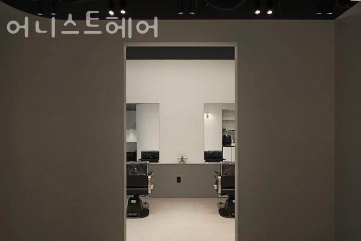어니스트헤어 이미지