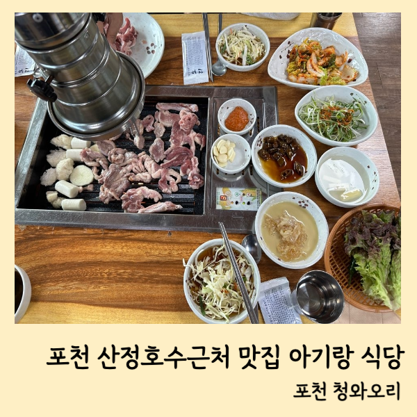 청와오리 이미지