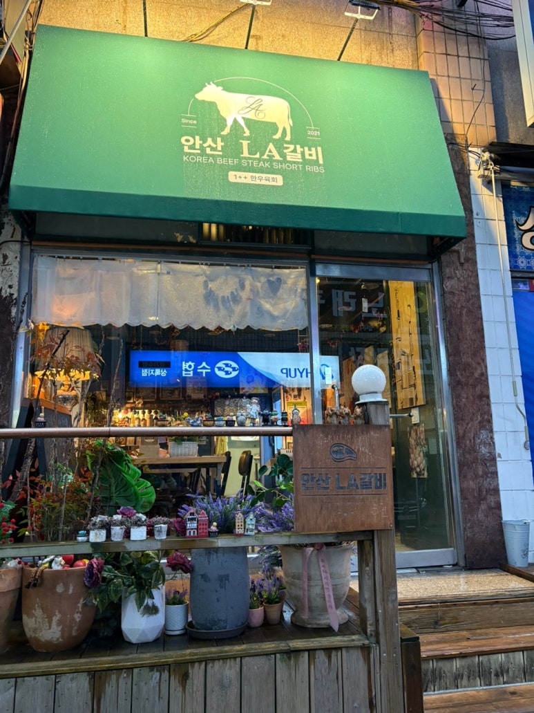 상록수소고기 이미지
