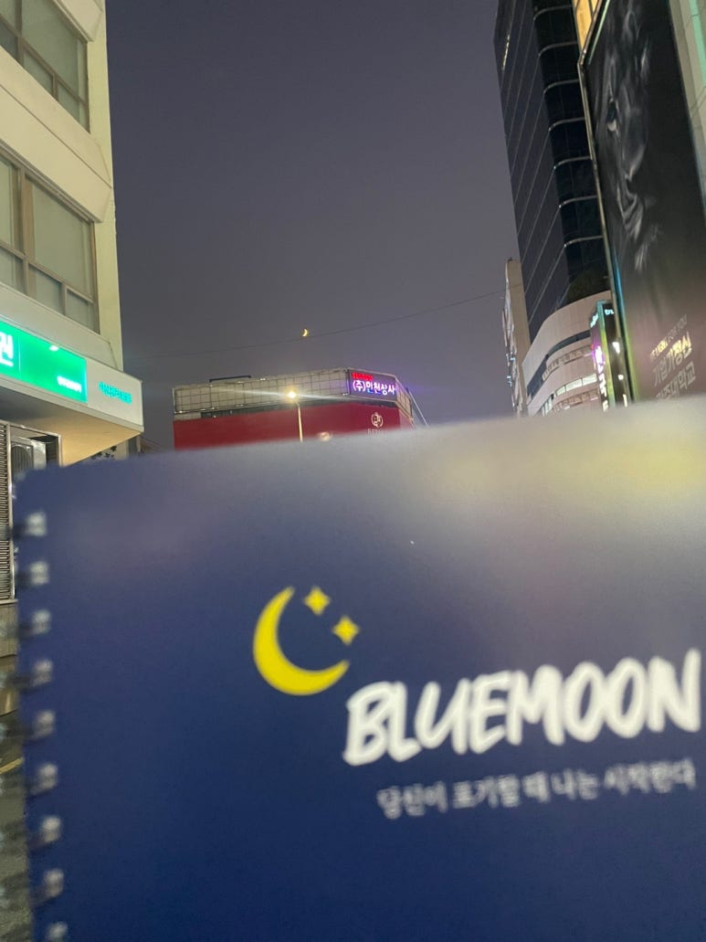 블루문실용음악학원 이미지