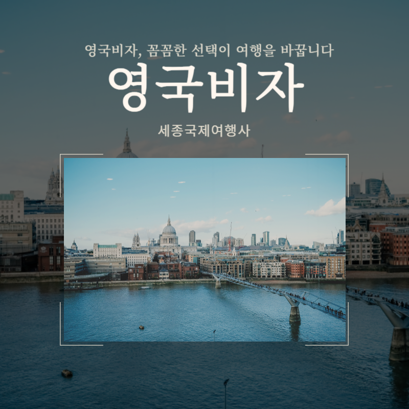대신국제여행사 이미지