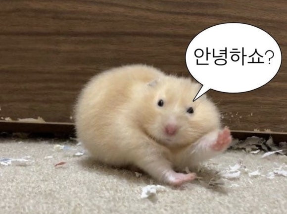 리엘주뷰티 이미지