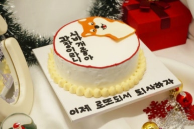 디자인다람 이미지