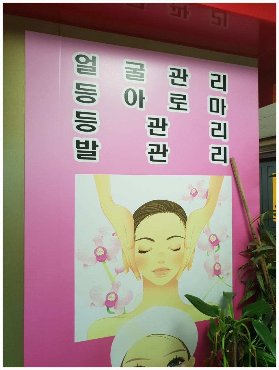 황실아로마 이미지