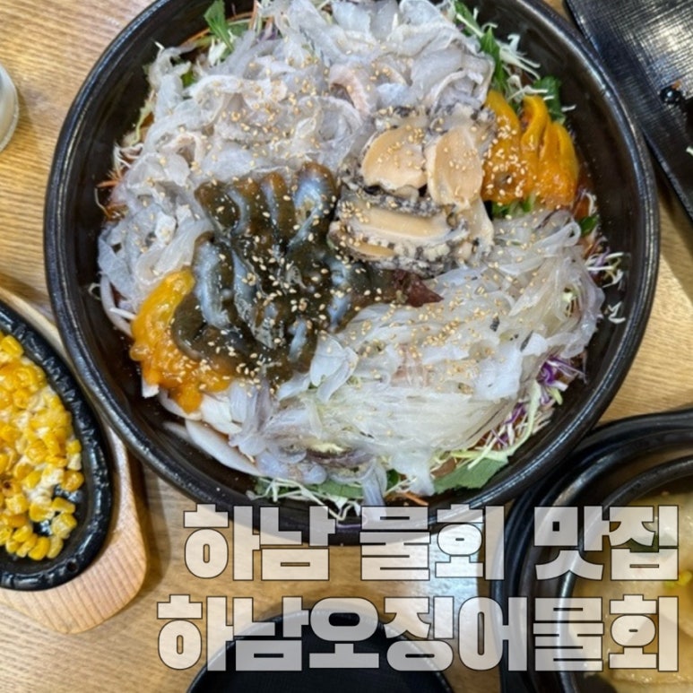 하남오징어물회 이미지