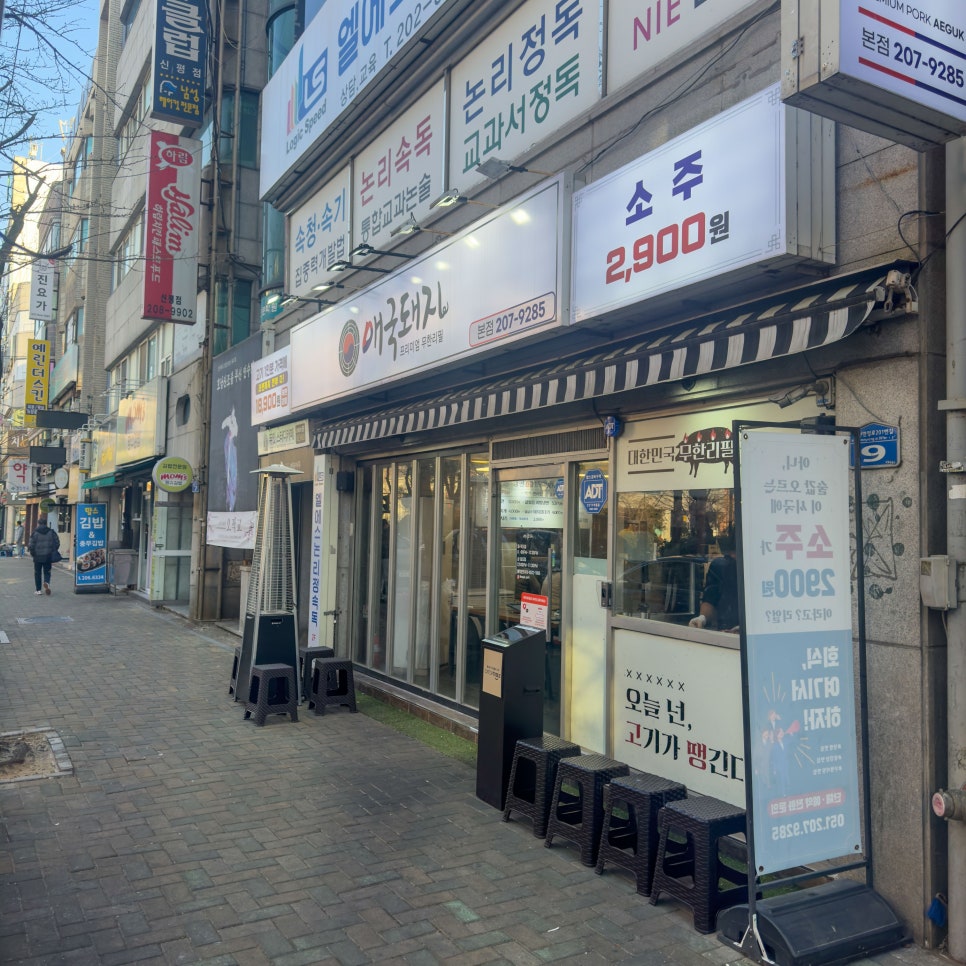 애국돼지 이미지