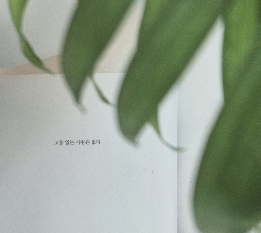 건우양꼬치 이미지