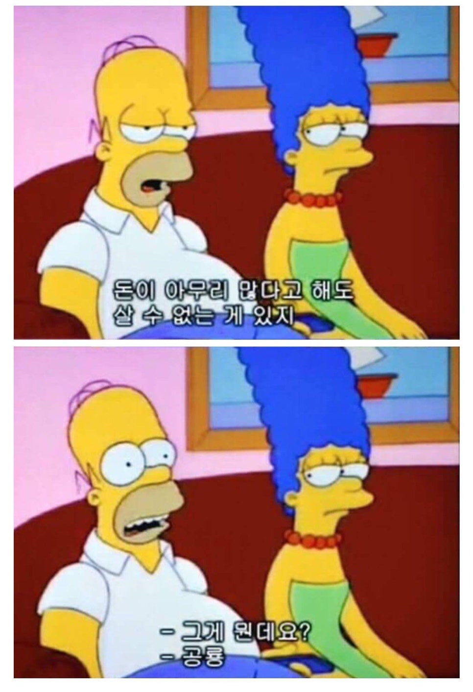 나만없어고양이 이미지