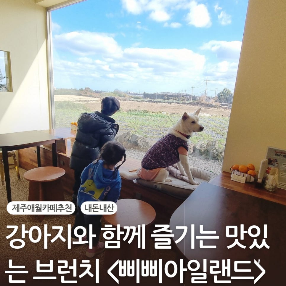 삐삐아일랜드 이미지