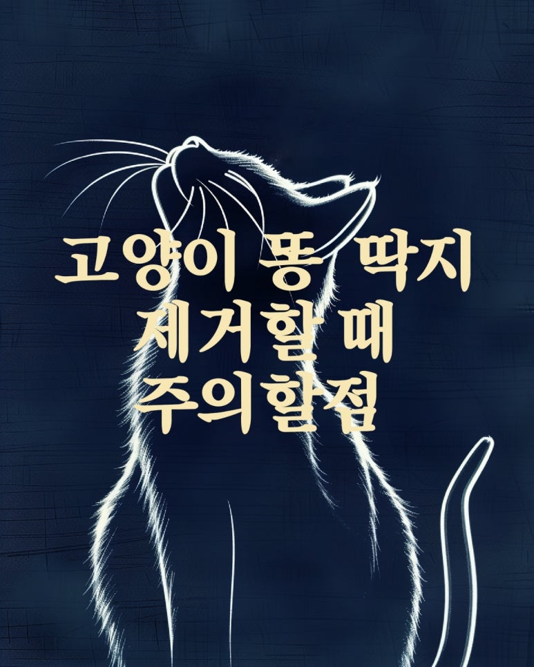 고양이 똥 딱지 제거할때 주의할점